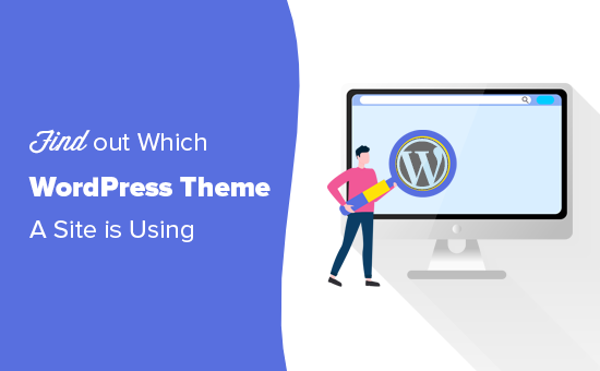 finding out which wordpress theme a website is using